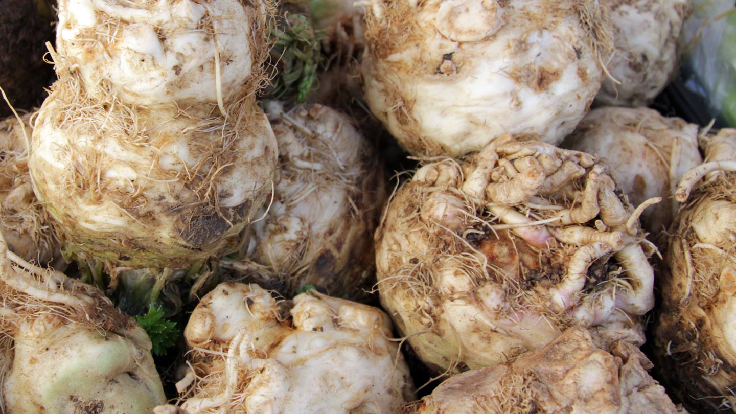 Alnatura Saisonkalender: Knollensellerie