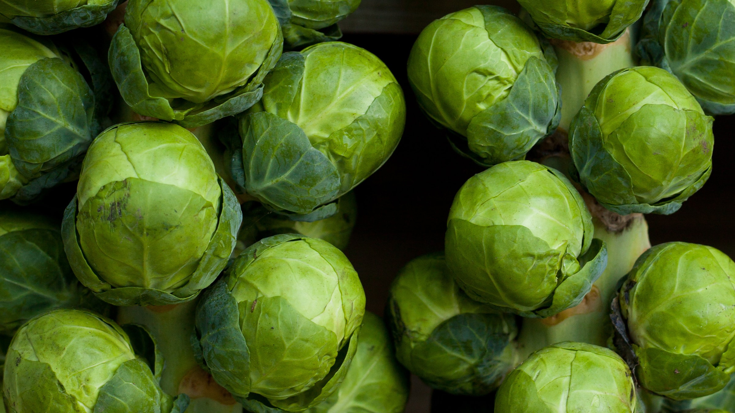 RosenkohlSaison Wann ist Rosenkohl Zeit in Deutschland? Alnatura