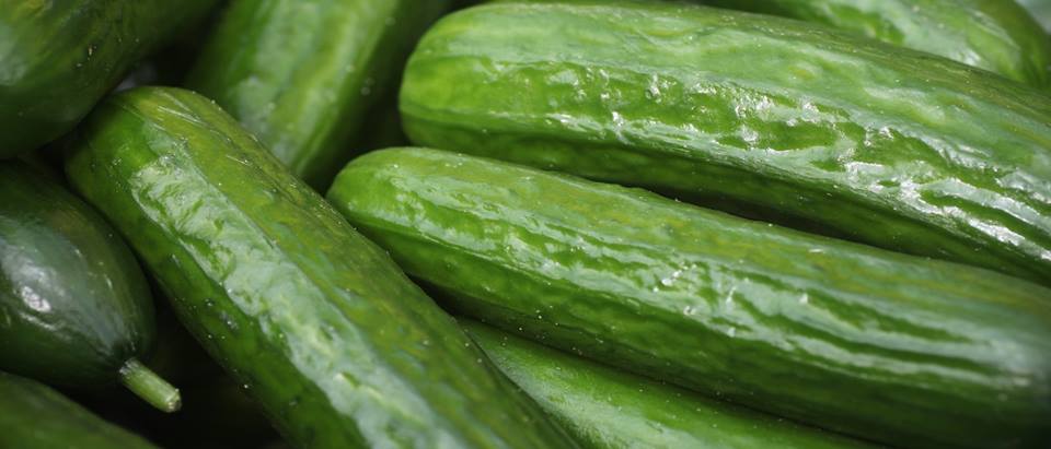 Alnatura Saisonkalender: Salatgurke