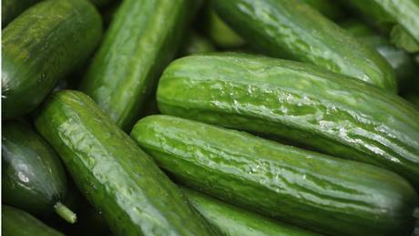 Alnatura Saisonkalender: Salatgurke