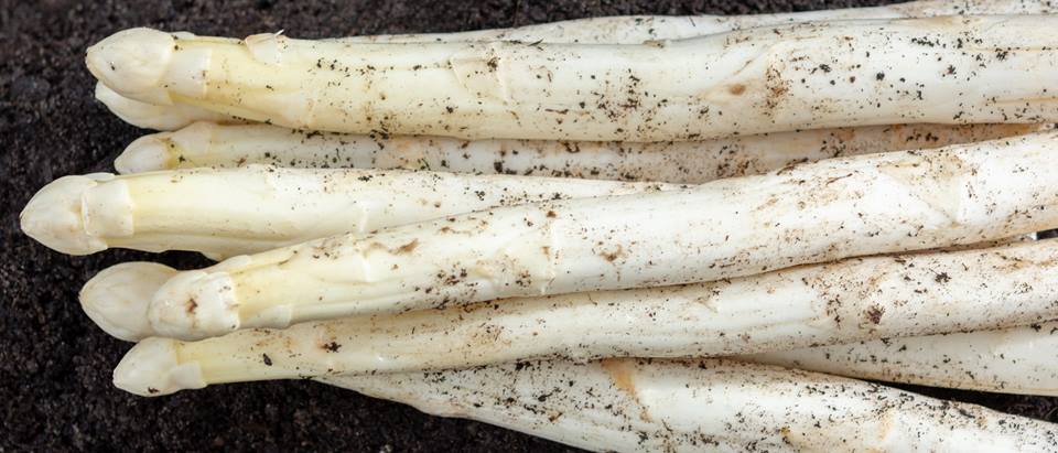 Alnatura Saisonkalender: Spargel