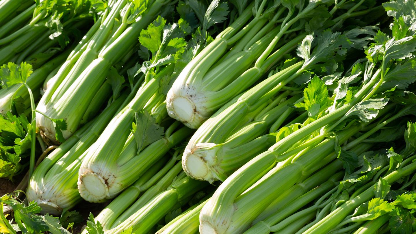 Alnatura Saisonkalender: Stangensellerie