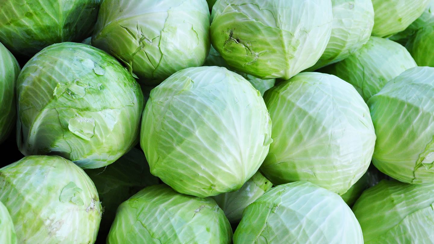 Alnatura Saisonkalender: Weißkohl, Spitzkohl