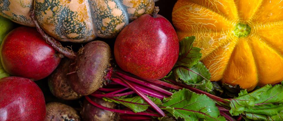 Alnatura Saisonkalender für den Monat November