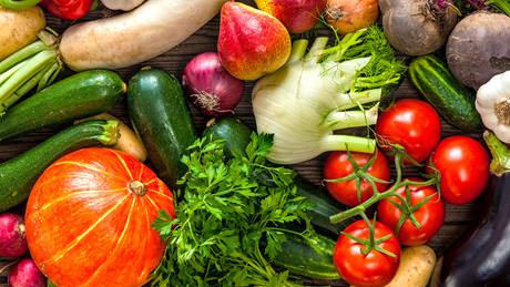 Alnatura Saisonkalender für den Monat September