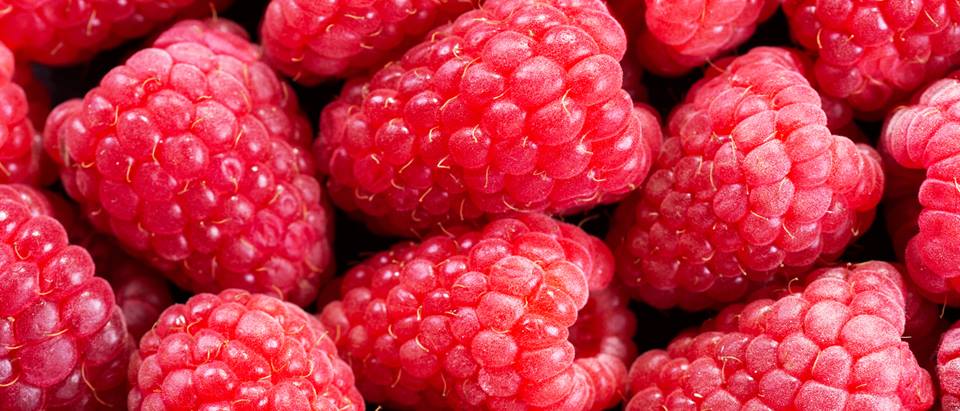 Alnatura Saisonkalender: Himbeeren