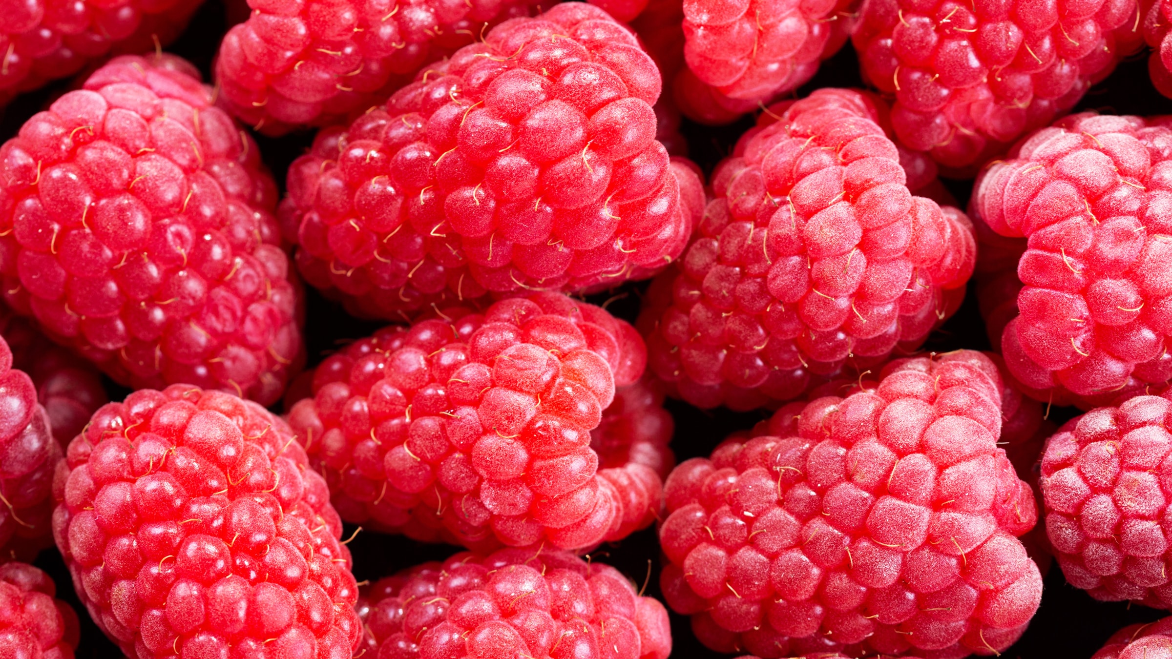 Himbeeren-Saison: Wann ist Himbeeren Zeit? - Alnatura Saisonkalender