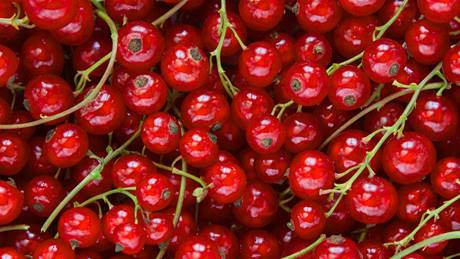 Alnatura Saisonkalender: Johannisbeeren