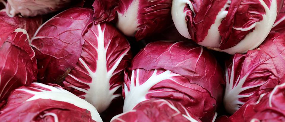 Alnatura Saisonkalender: Radicchio Salat