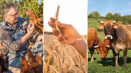 Alnatura Initiativen