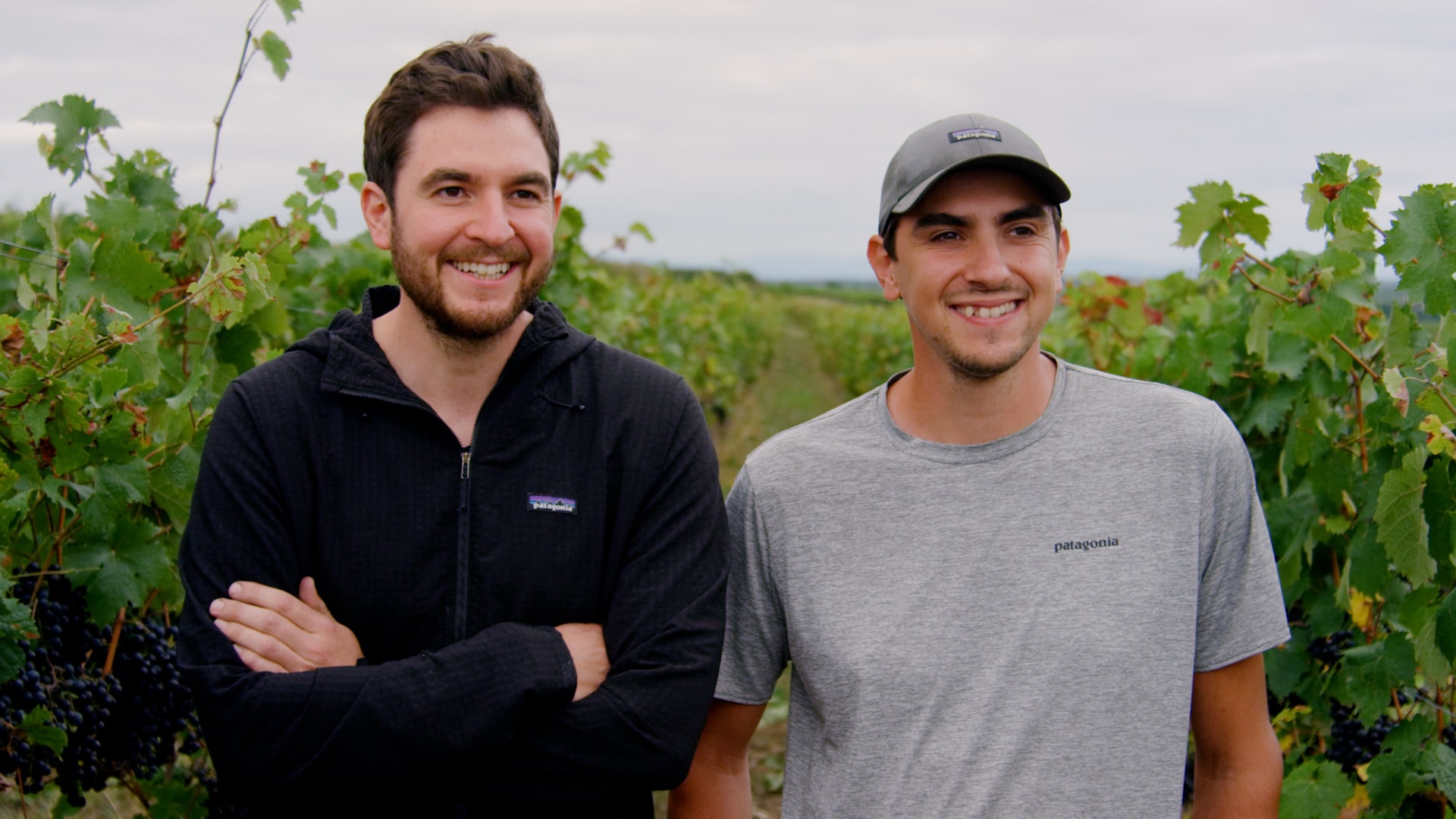 Die Winzerbrüder Daniel und Jonas Brand