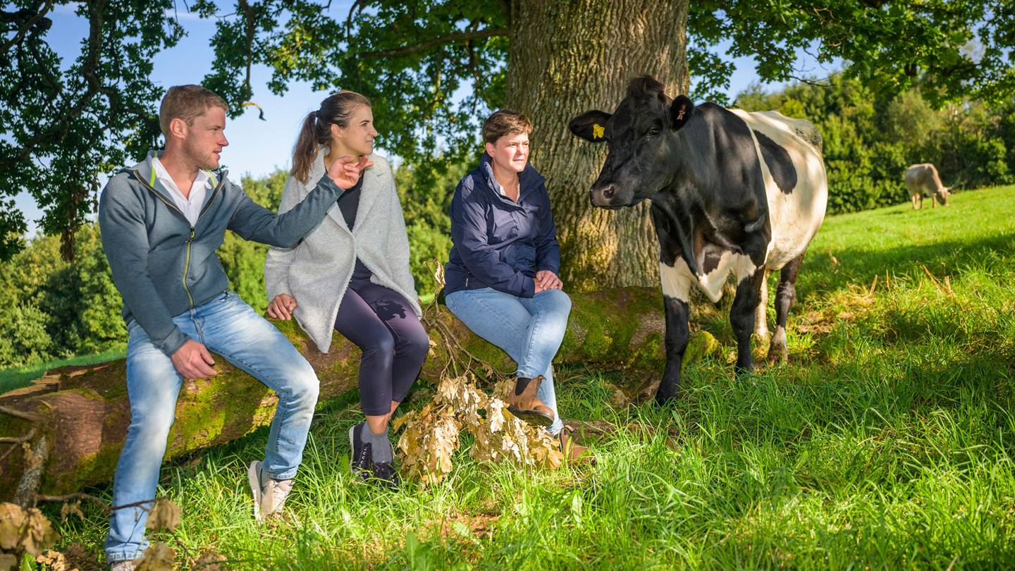 Drei Personen sitzen auf einem Baumstamm und unterhalten sich: links ein junger Milchbauer und rechts von ihm zwei junge Frauen. Rechts von der Gruppe steht eine Kuh mit schwarz-weißem Fell.