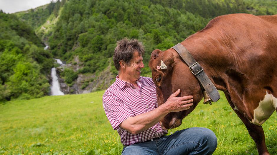 Alnatura Bergbauern-Produkte: Bergbauer streichelt seine Kuh auf Bergwiese