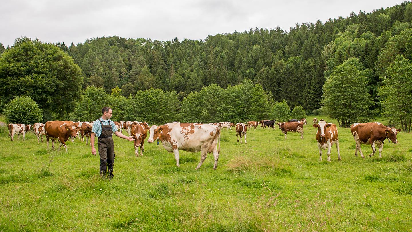 Upländer Milchbauer