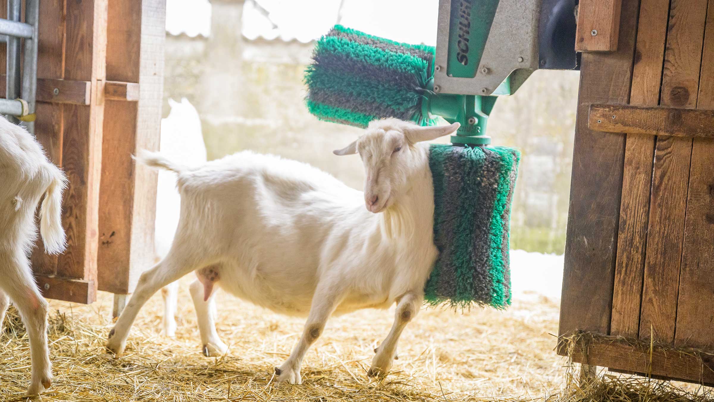 Alnatura Magazin Kein Grund zum Meckern