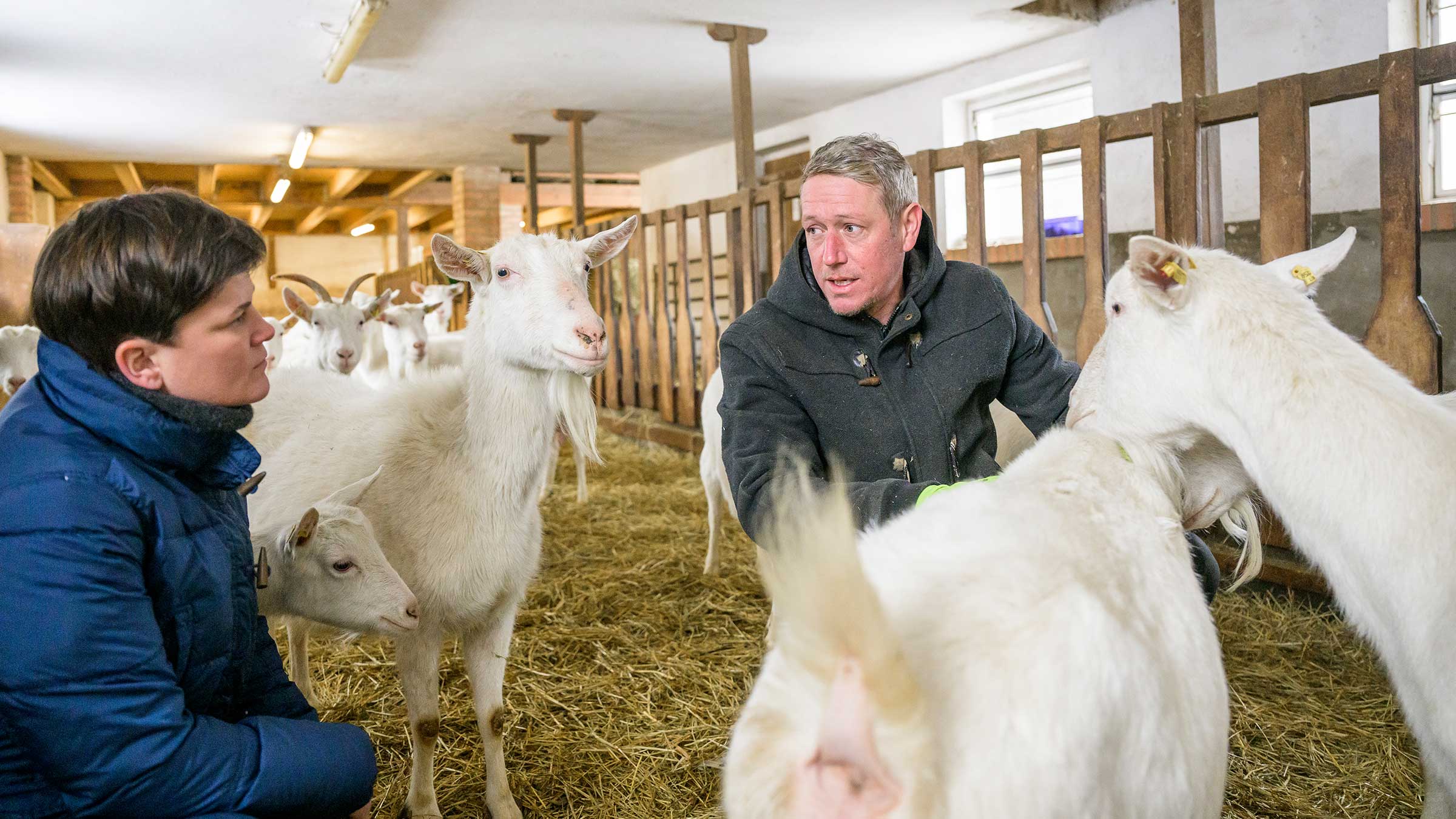 Alnatura Magazin Kein Grund zum Meckern