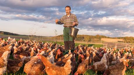 Die Alnatura Hennenwohl-Initiative