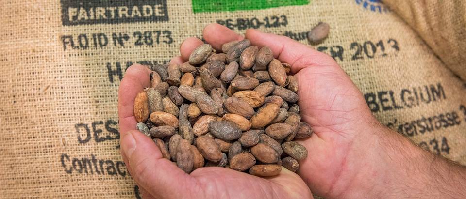 Alnatura Fairtrade Kakaobohnen