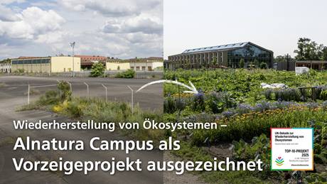 Vorher-Nachher-Bild des Alnatura Geländes: vom versiegelten Gelände zu einem renaturierten Gelände mit vielen Pflanzen. Darauf das Siegel "Top-10-Projekt 2025 in der Kategorie Renaturierungsprojekt" im Rahmen der "UN-Dekade zur Wiederherstellung von Ökosystemen". Dazu der Text: "Wiederherstellung von Ökosystemen – Alnatura Campus als Vorzeigeprojekt ausgezeichnet".