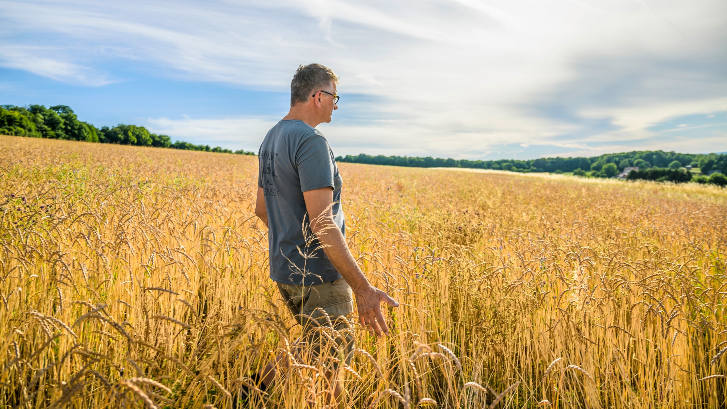 Klaus Laub begutachtet den Dinkel im Feld
