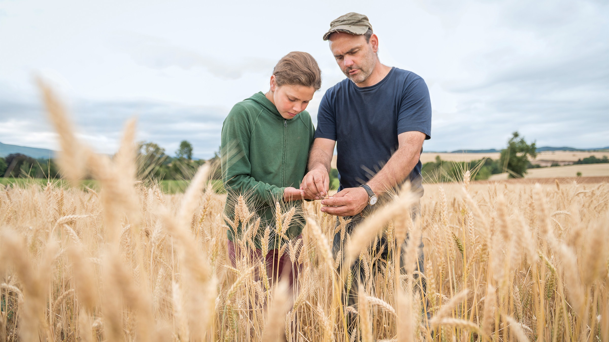 Biobauer prüft Ären