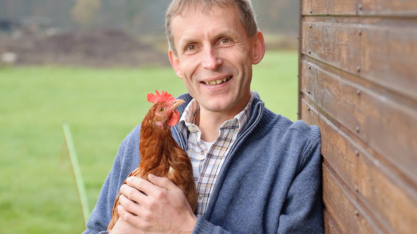 Eierbauer mit Huhn