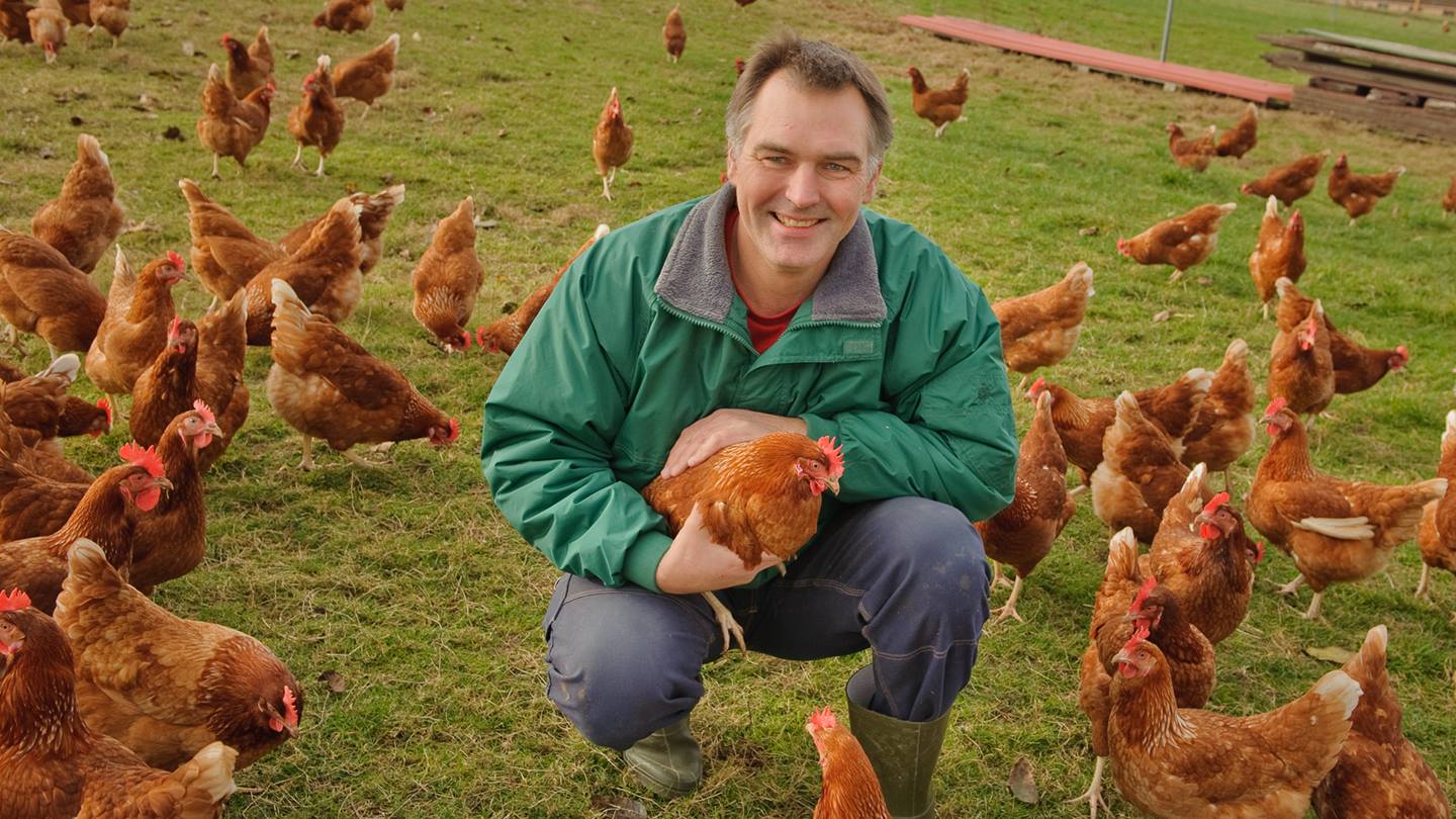 Bio-Hof Eisenach Eierbauer mit Huhn in Freigehege