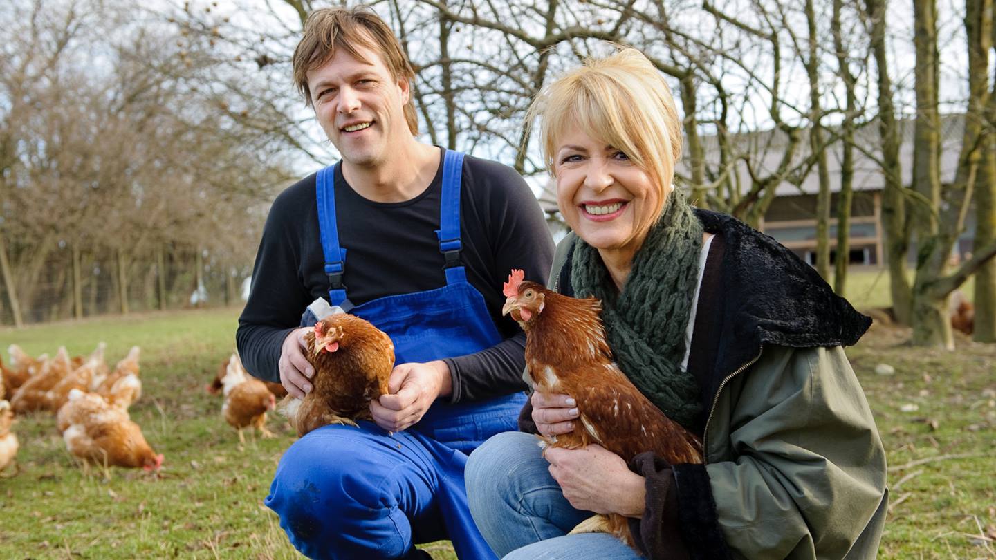 Eierbauern Rothaeusle mit Hühnern