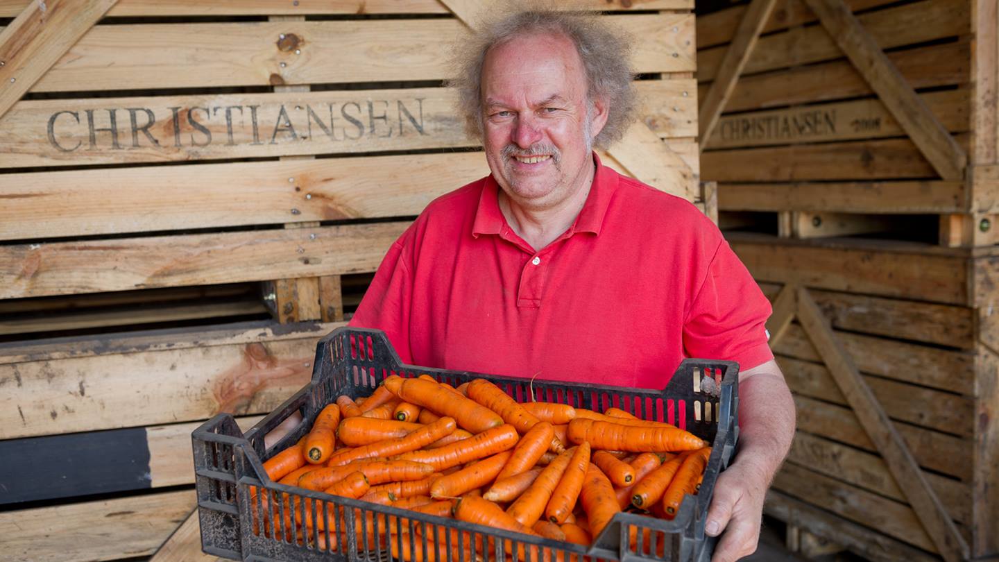 Bauer Christiansen mit geernteten Karotten