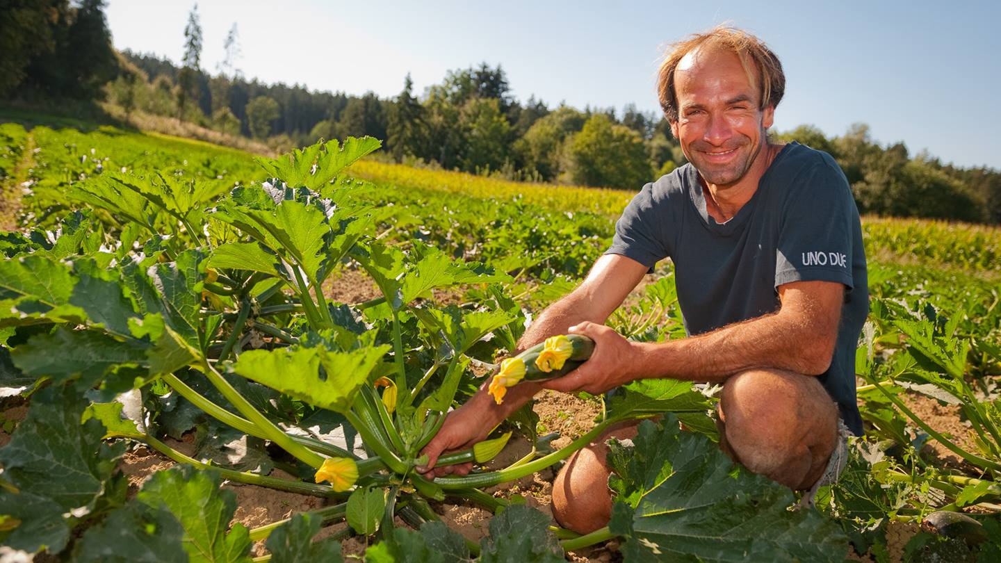 Bio-Bauer Neubronn