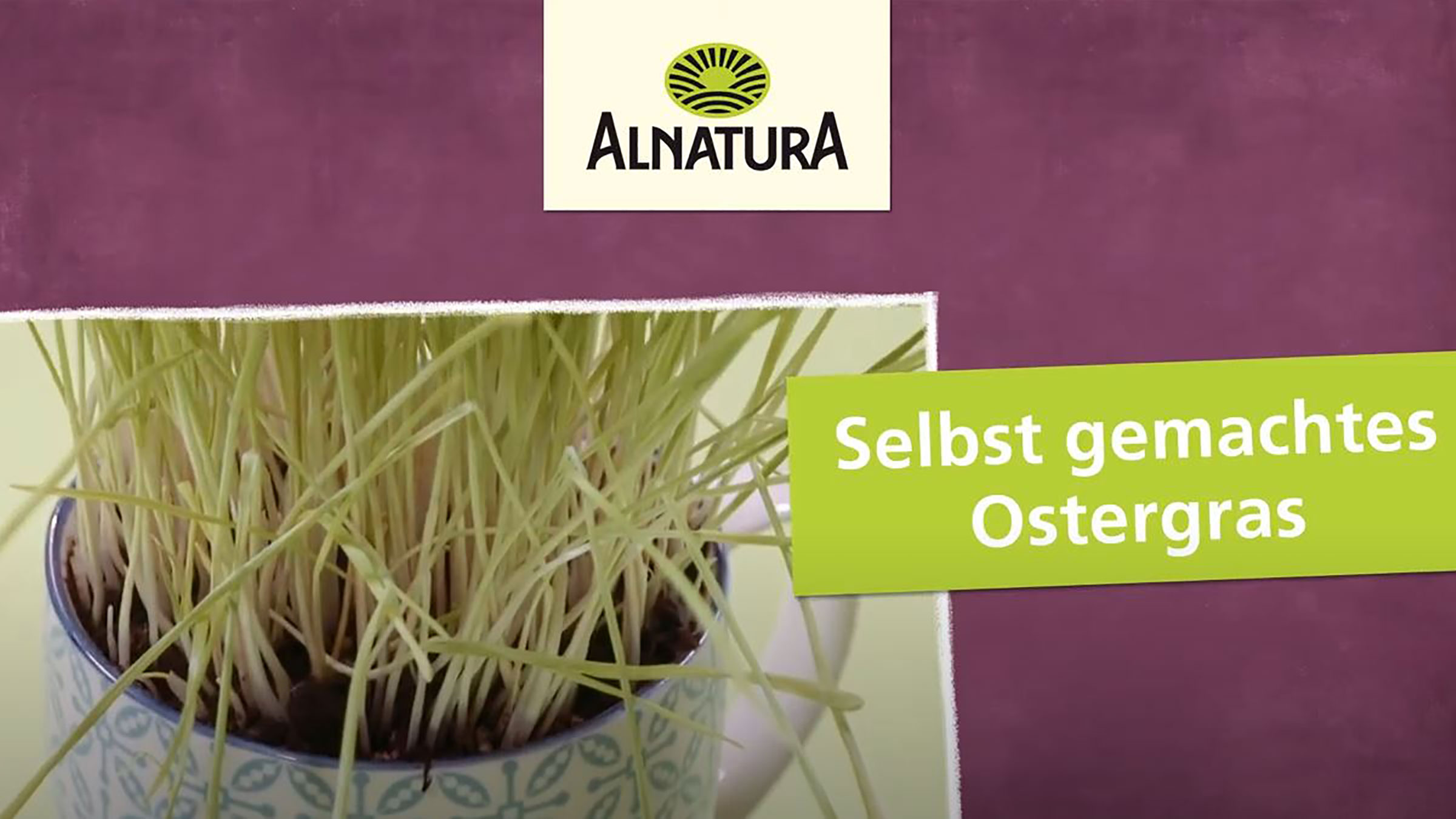 Video Startbild: Es ist ein Bild mit Ostergras in einem Topf zu sehen. In einer Überschrift ist folgender Text zu lesen: Selbst gemachtes Ostergras
