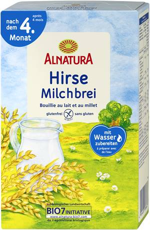 Hirse-Milchbrei