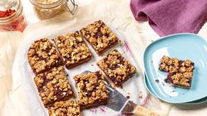 Heidelbeer-Kokos-Riegel (Oatmeal Bars)