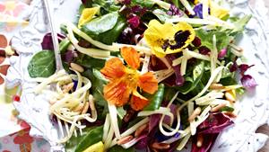 Sommersalat mit Blütenkäse und Pinienkernen
