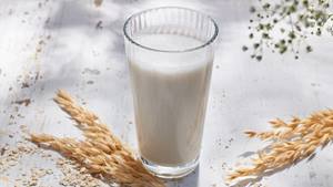 Haferdrink selber machen