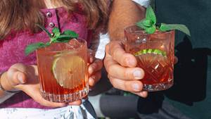 Rhabarber-Gin-Tonic