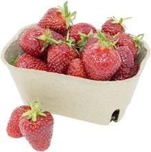 Erdbeeren, gepackt á 250g