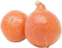 Hokkaido Kürbis