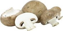 Champignons