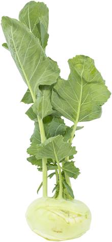 Kohlrabi