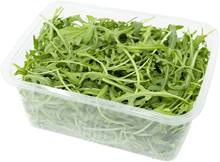 Rucola & Mini-Mangold, gepackt à je 100 g