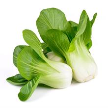 Pak Choi Mini