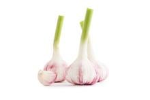 Knoblauch frisch