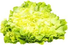 Endiviensalat