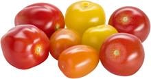 Tomaten Pick&Mix