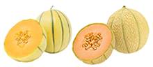 Zuckermelonen