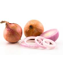 Zwiebel rose