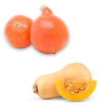 Kürbis Hokkaido + Butternut