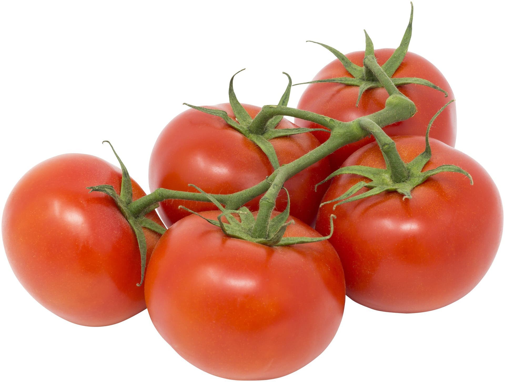 sonstige Marken Strauchtomaten