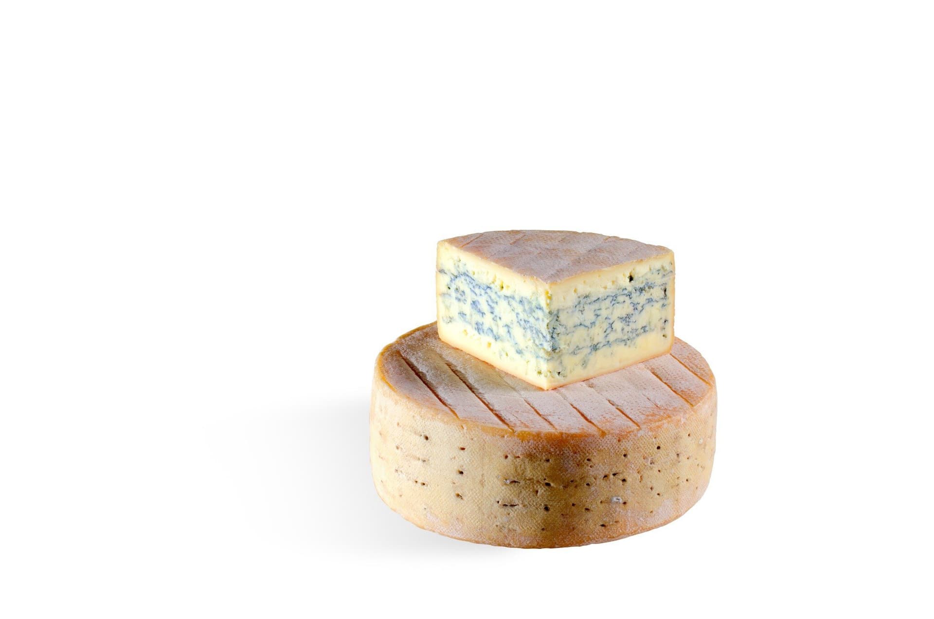 Hof Backensholzer Friesisch Blue